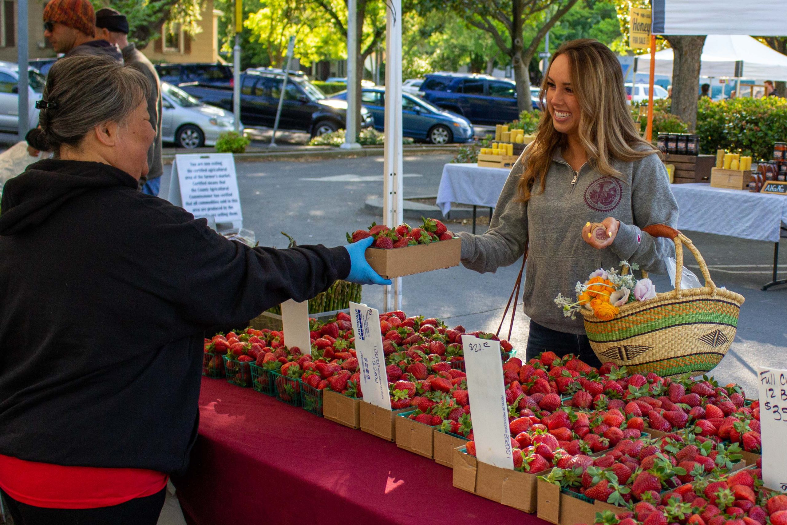 A student using food stamps to purchase fruit at a farmer's market.